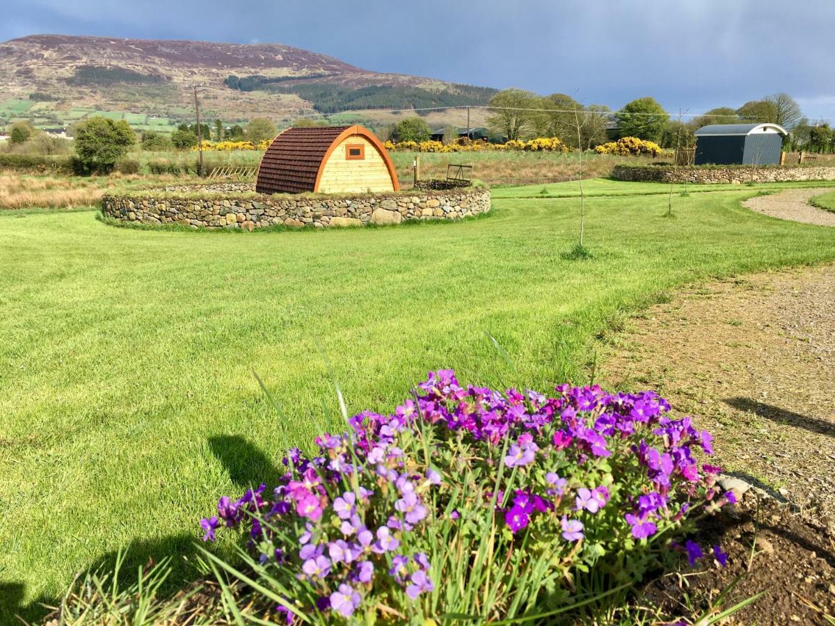 Bluebell Lane Glamping Hotel Newry Exterior foto