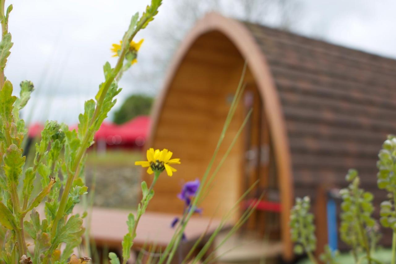 Bluebell Lane Glamping Hotel Newry Exterior foto