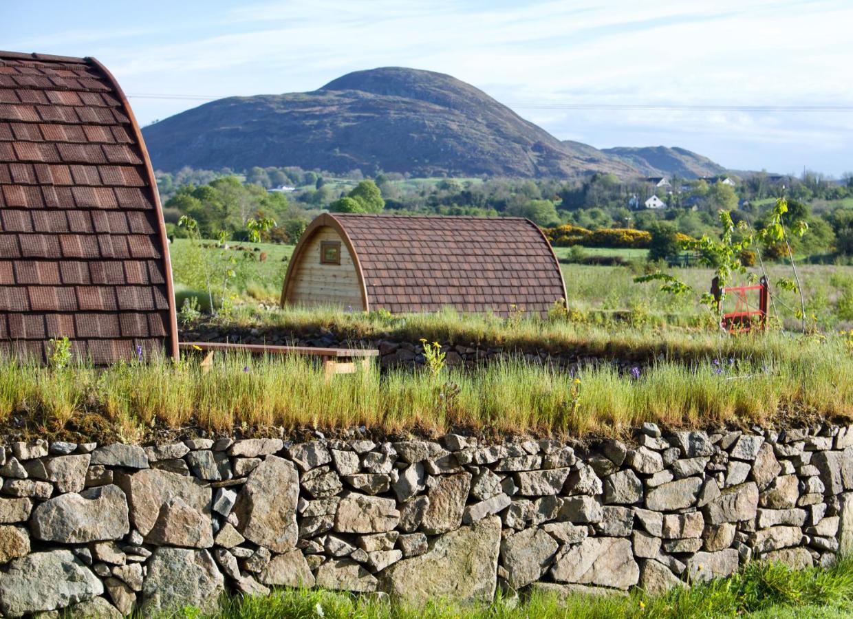 Bluebell Lane Glamping Hotel Newry Exterior foto